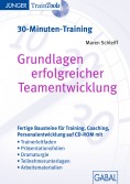Grundlagen erfolgreicher Teamentwicklung (30-Minuten-Training)